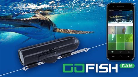 Camera Fishing Line